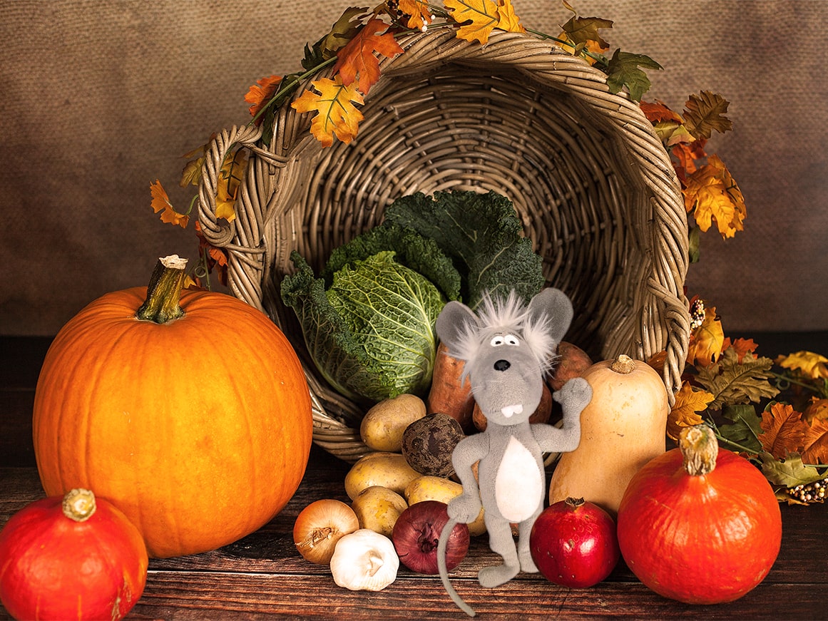 Martin the Mouse Children's Books - Practicing Gratitude for Kids, Thanksgiving Blog
