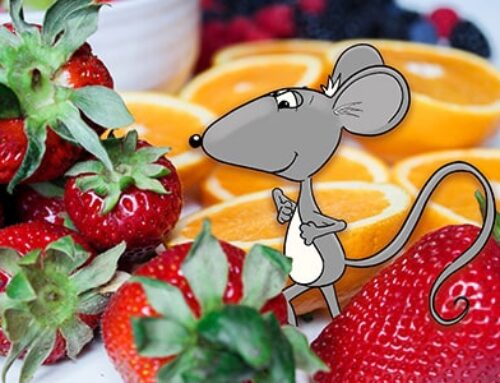 A Mouse at the Farmer’s Market