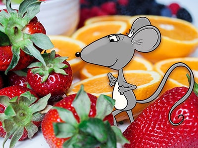 Martin the Mouse Children's Books - Kids Literature Blog - Farmer's Market Fruits & Vegetables
