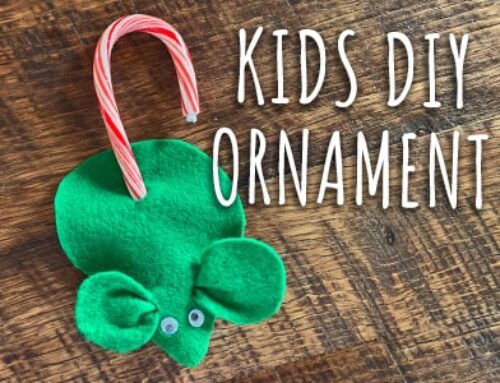5-Step DIY Mouse Ornament for Kids