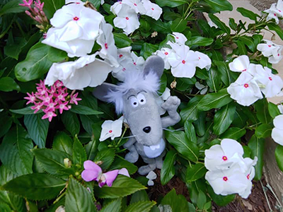 Martin the Mouse - Relax and Unwind Outside in Nature